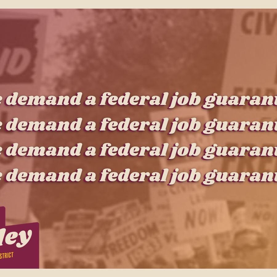 we demand a job guarantee